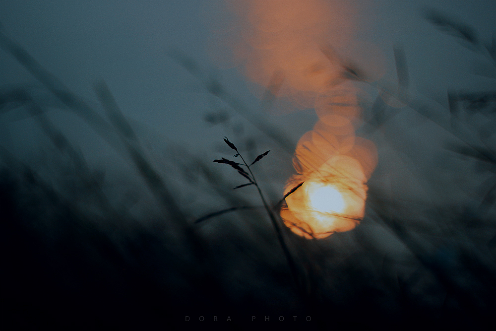 微风的叙事无声的独白（图ZMzI3MDM1Mzg4） - 其他摄影 - 站酷设计师朵拉影像原创素材 - 站酷ZCOOL