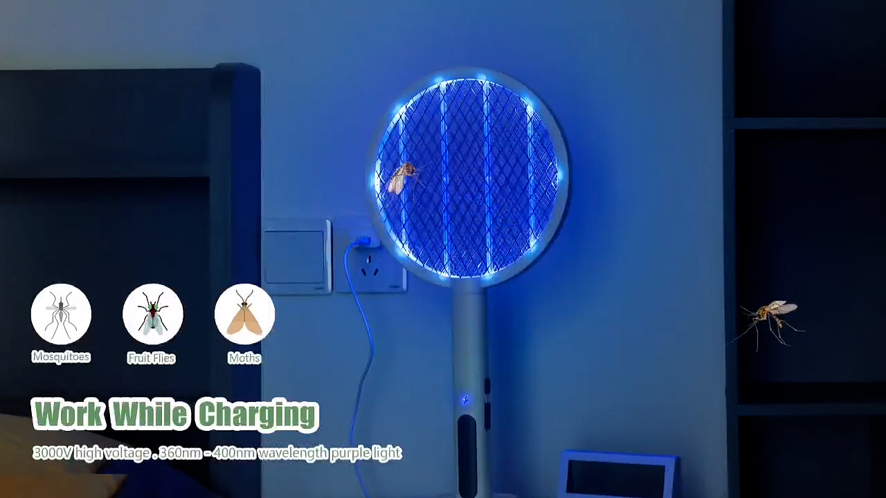 灭蚊拍完整视频