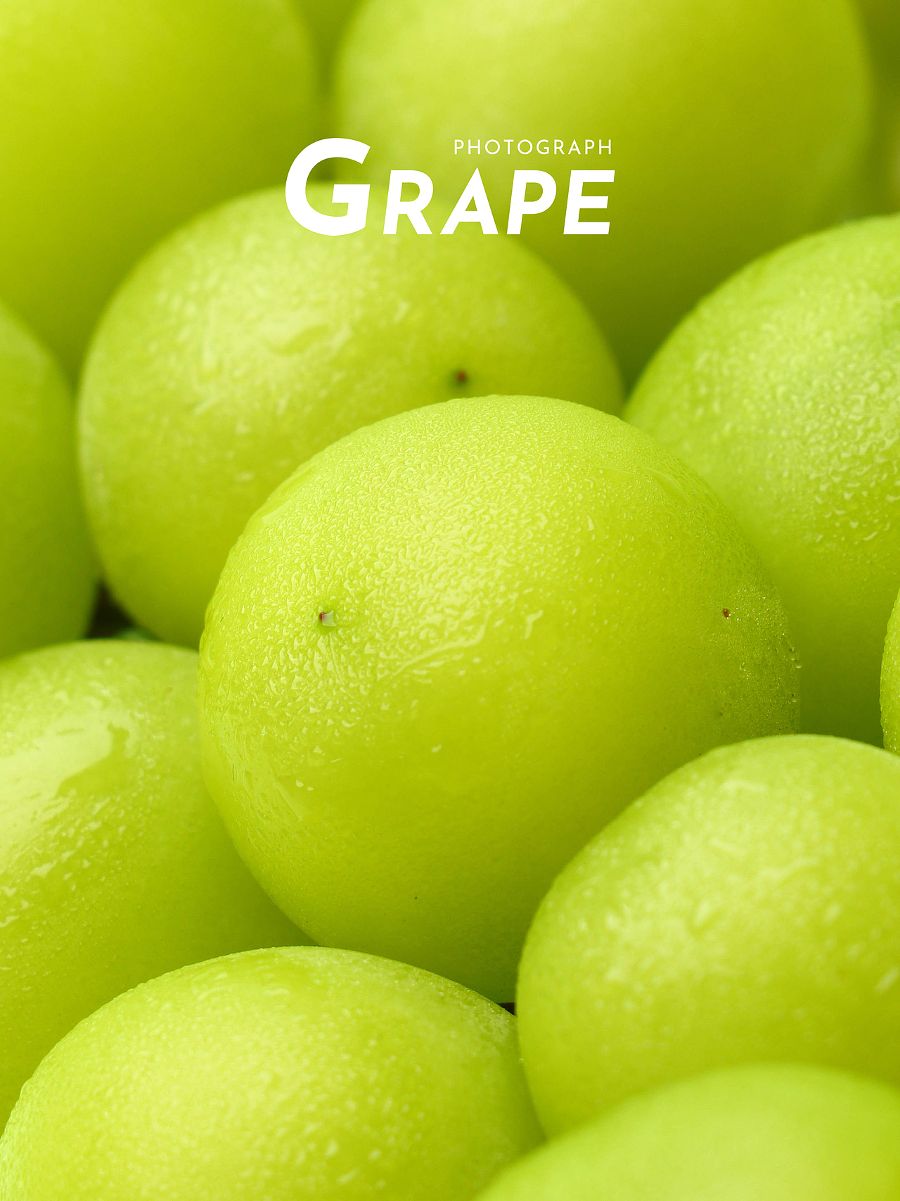 创意摄影|阳光玫瑰的雀跃时刻