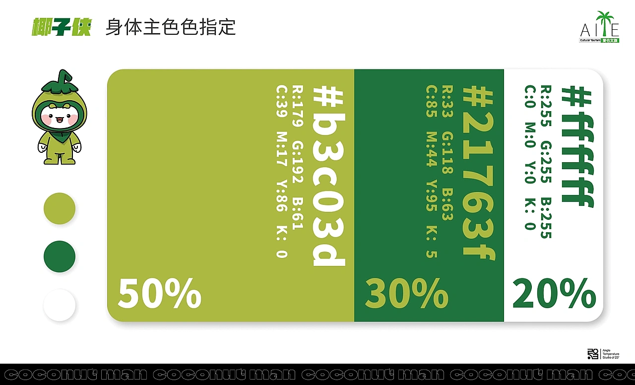 椰子侠IP形象设计方案