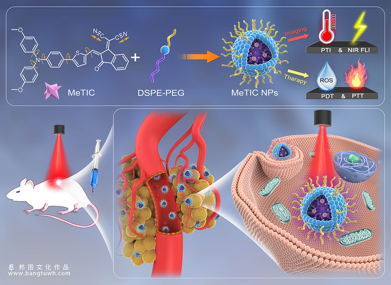 医学插画 学术期刊封面设计 科研绘图