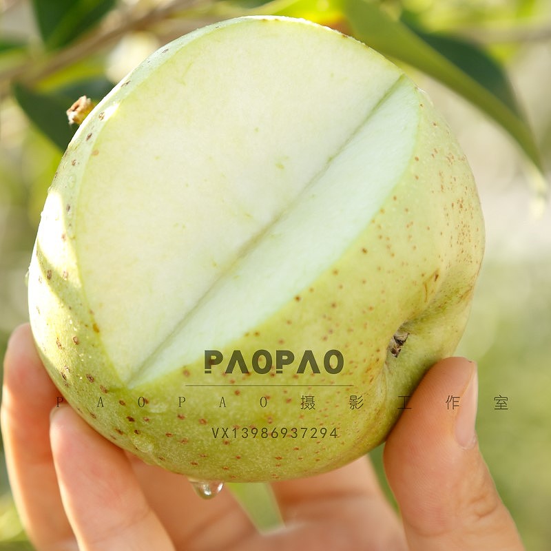 搬图猫素材网 | 客户青苹果图片