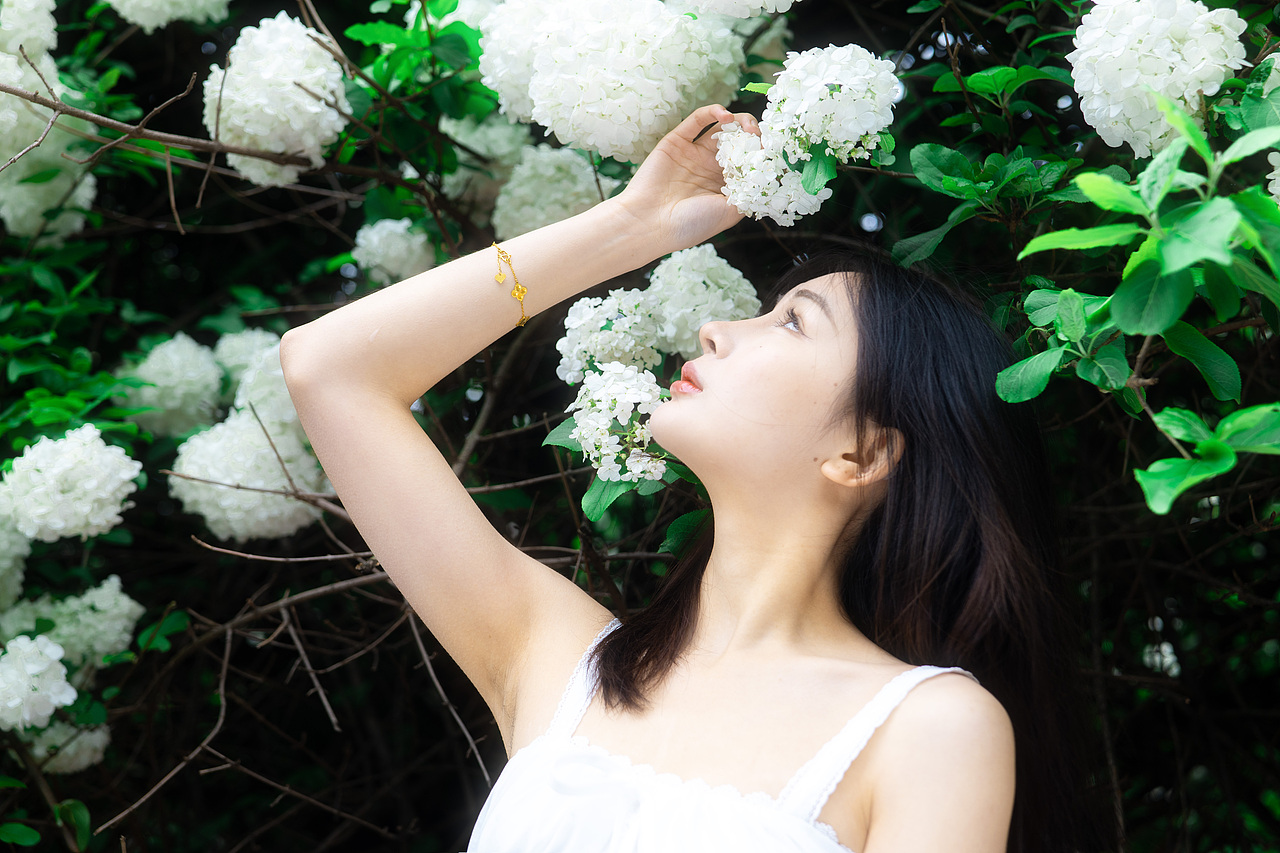 一年一度绣球花（图ZMzY2MzE0MDMy） - 人像摄影 - 站酷设计师半城印象小九原创素材 - 站酷ZCOOL