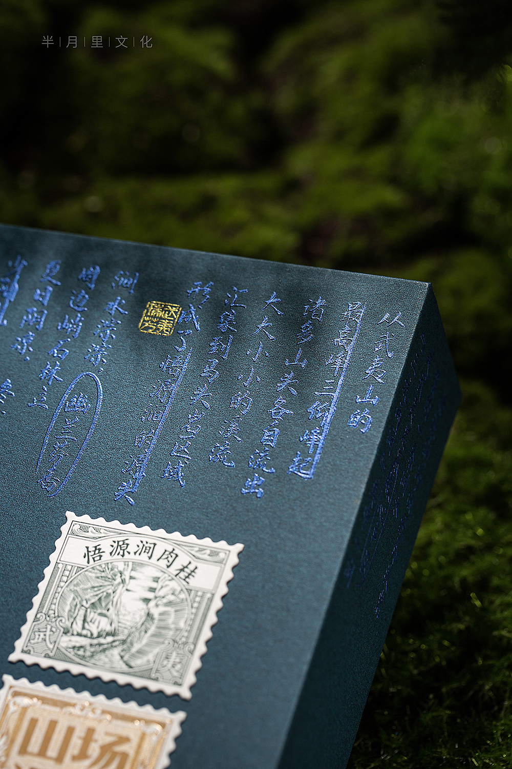 漫步山场--悟源涧肉桂