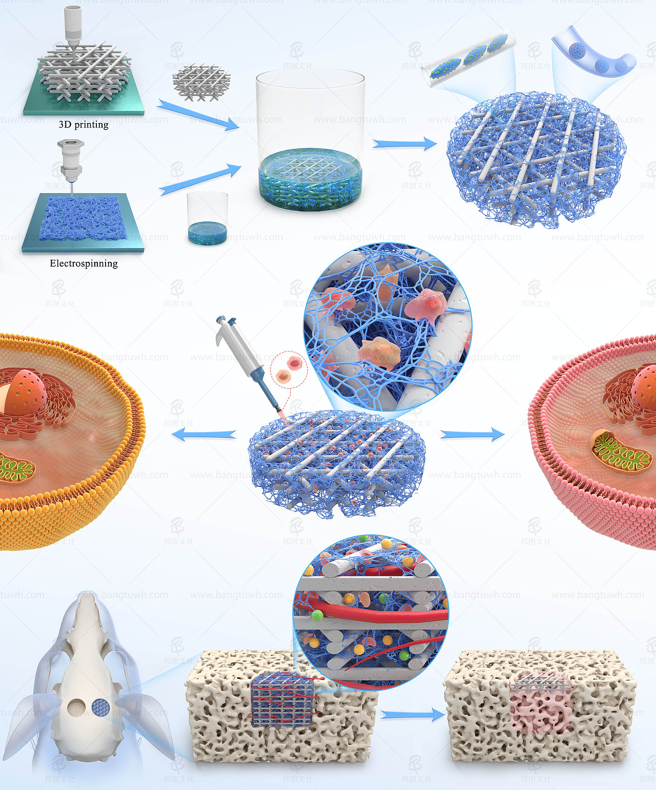 SCI杂志封面设计