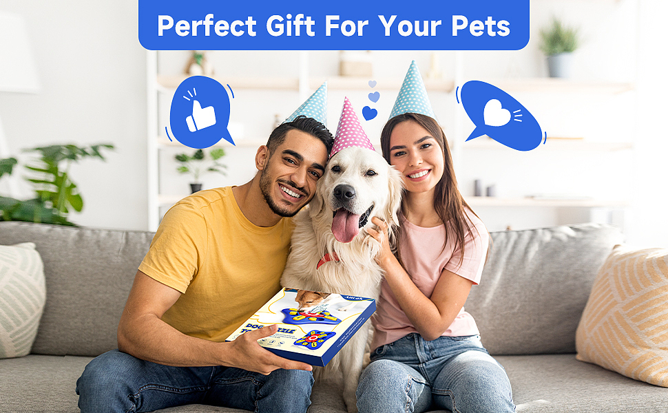 宠物玩具亚马逊设计