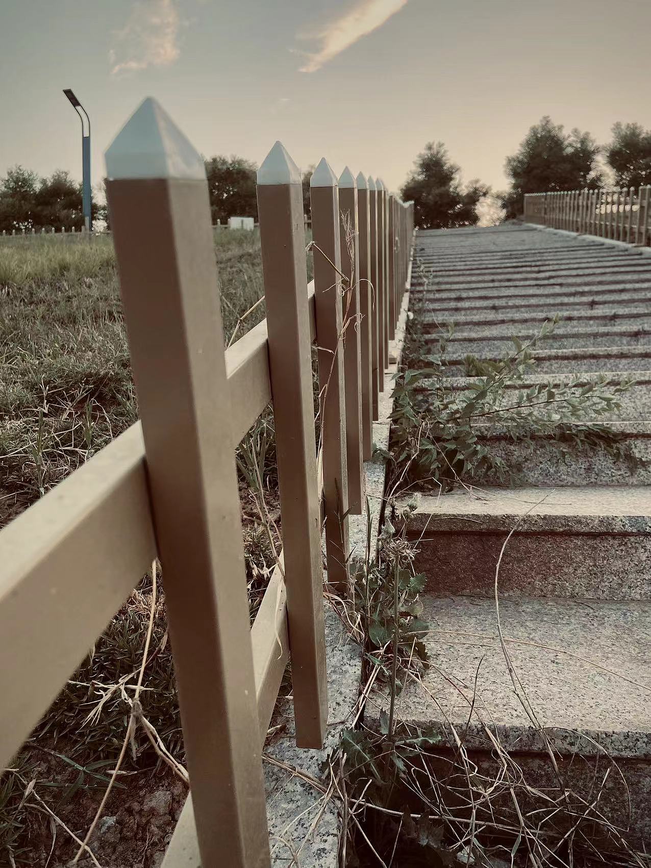 手机日常拍照，调色