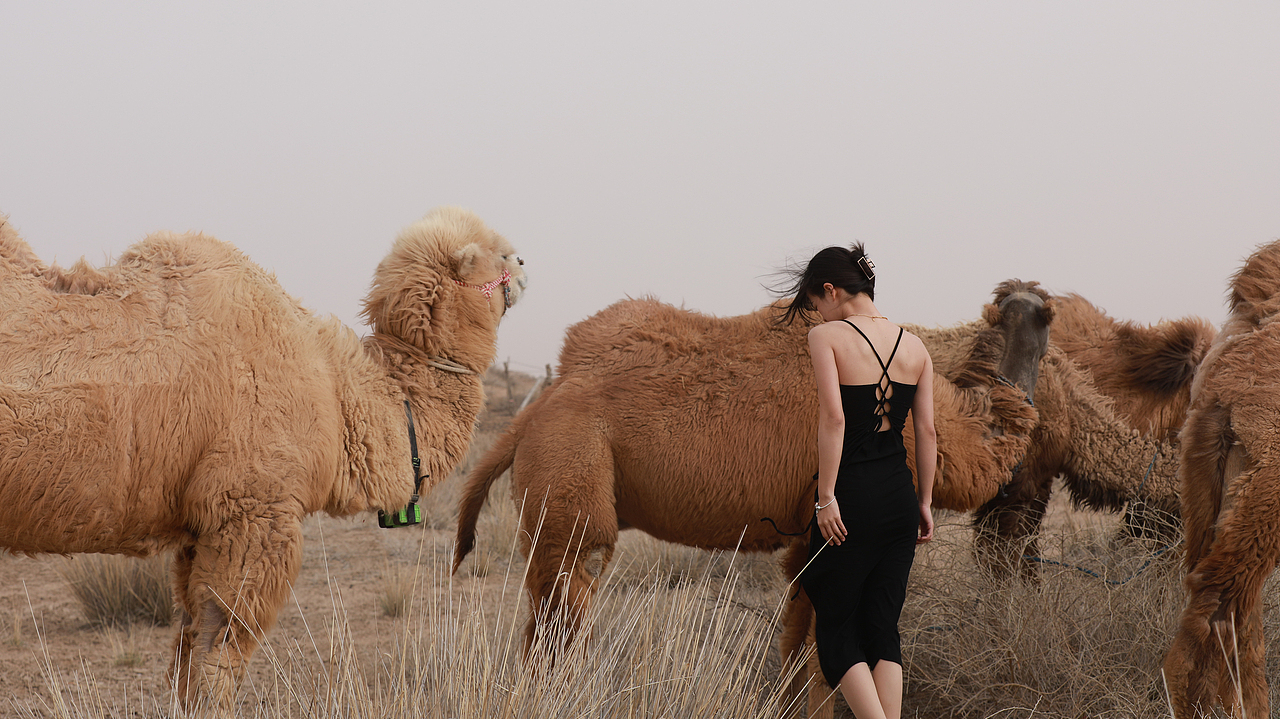 宁夏（图ZMzM4NjQzOTQ4） - 风光摄影 - 站酷设计师yuu0105原创素材 - 站酷ZCOOL