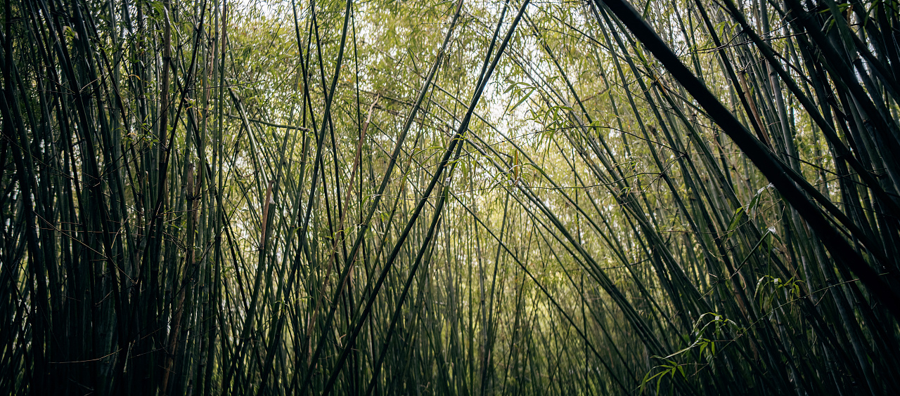 南方的雨天（武漢）（圖ZMzM2NjMzOTky） - 風光攝影 - 站酷設計師拾光者Orince原創(chuàng)素材 - 站酷ZCOOL