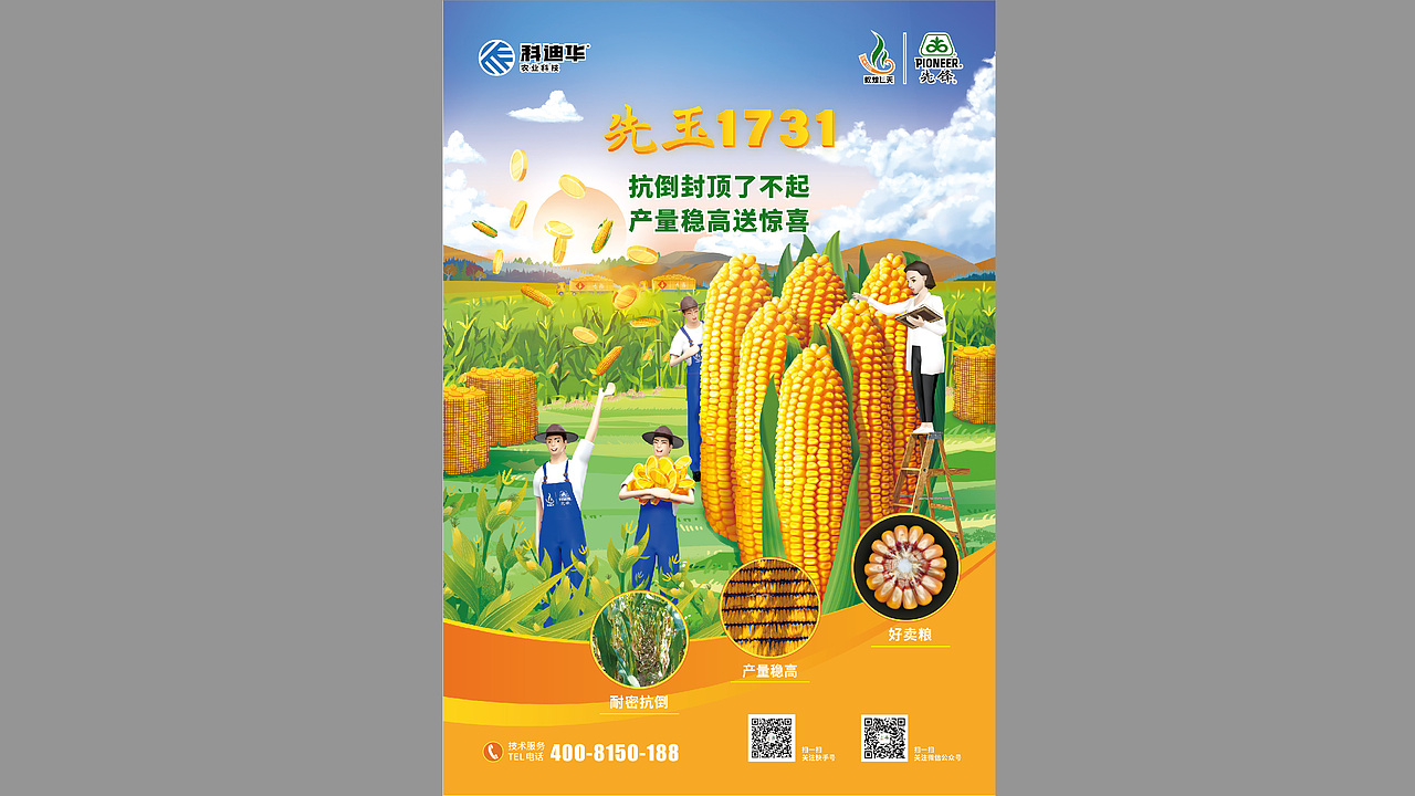 农业\玉米种业\先锋品牌\产品海报设计项目（图ZMzE3MTI2NTE2） - 海报 - 站酷设计师红微原创素材 - 站酷ZCOOL