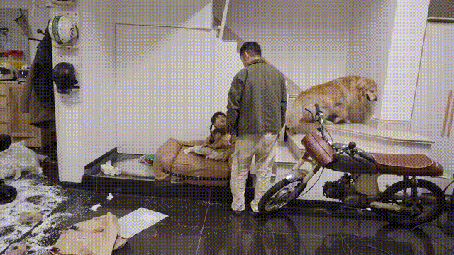 《爸爸当家》第二季 节目包装（图ZMzQ4NjM2NzYw） - 影视后期 - 站酷设计师小飞侠文化原创素材 - 站酷ZCOOL