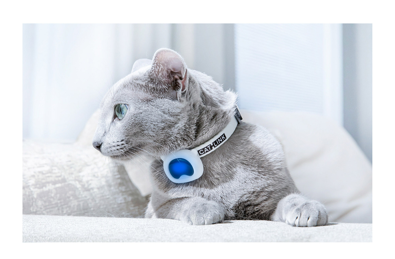 CATLINK 品牌升级:智联万物,用科技感知宠物健康(图ZMzUxNzk0NDY4) - 品牌 - 站酷设计师CES设计咨询原创素材 - 站酷ZCOOL