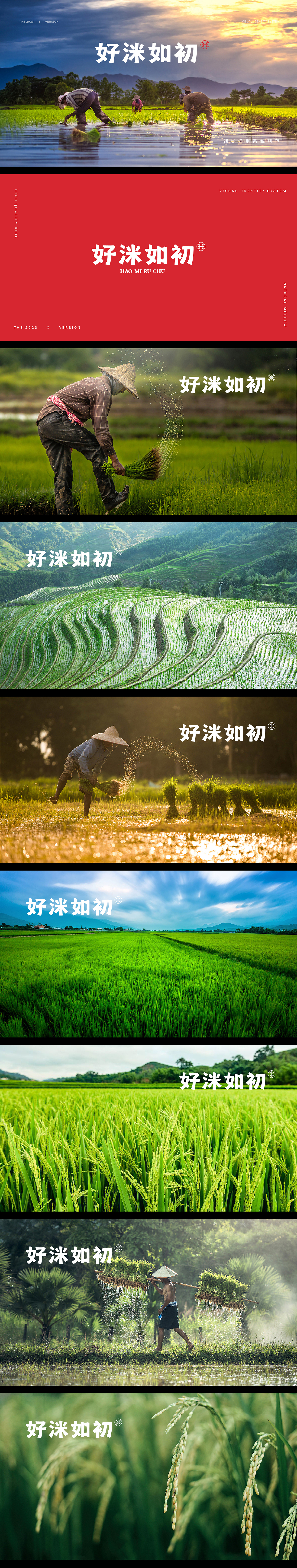 好洣如初品牌视觉打造（图ZMzU2NTQ0Njg0） - 品牌 - 站酷设计师TonyMiao原创素材 - 站酷ZCOOL