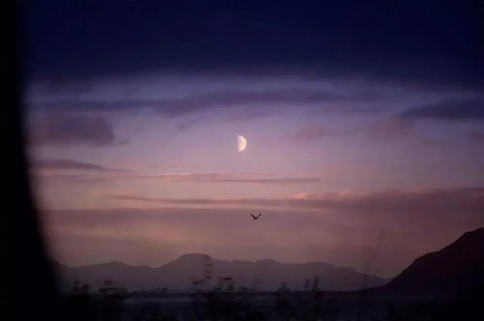 mini碧螺春的個(gè)人主頁(yè)（封面預(yù)覽） - 主頁(yè)封面設(shè)置 - 站酷設(shè)計(jì)師mini碧螺春原創(chuàng)素材 - 站酷ZCOOL