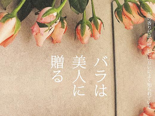 花的送礼（个人主页-ZMzg3Njk2NDA=） - 海报 - 站酷设计师柯卟柯以原创素材 - 站酷ZCOOL