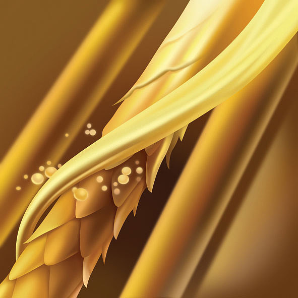 广告插画&Storyboard