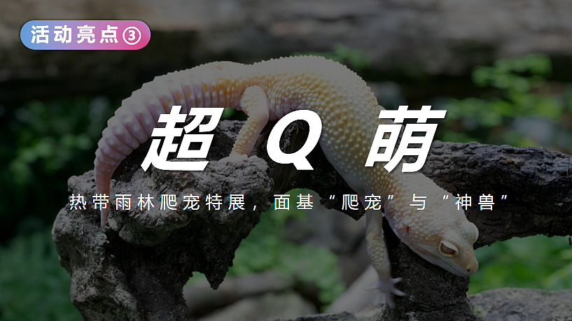 2024探秘恐龙星球文化节主题巡展展览活动策划案