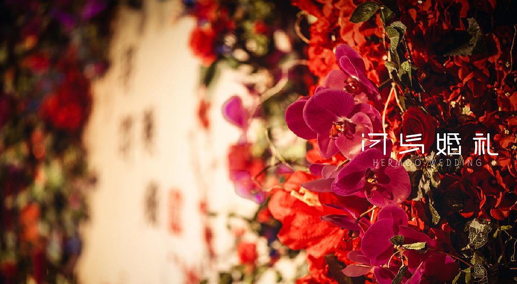 河马婚礼|中式婚礼(红色+金色)