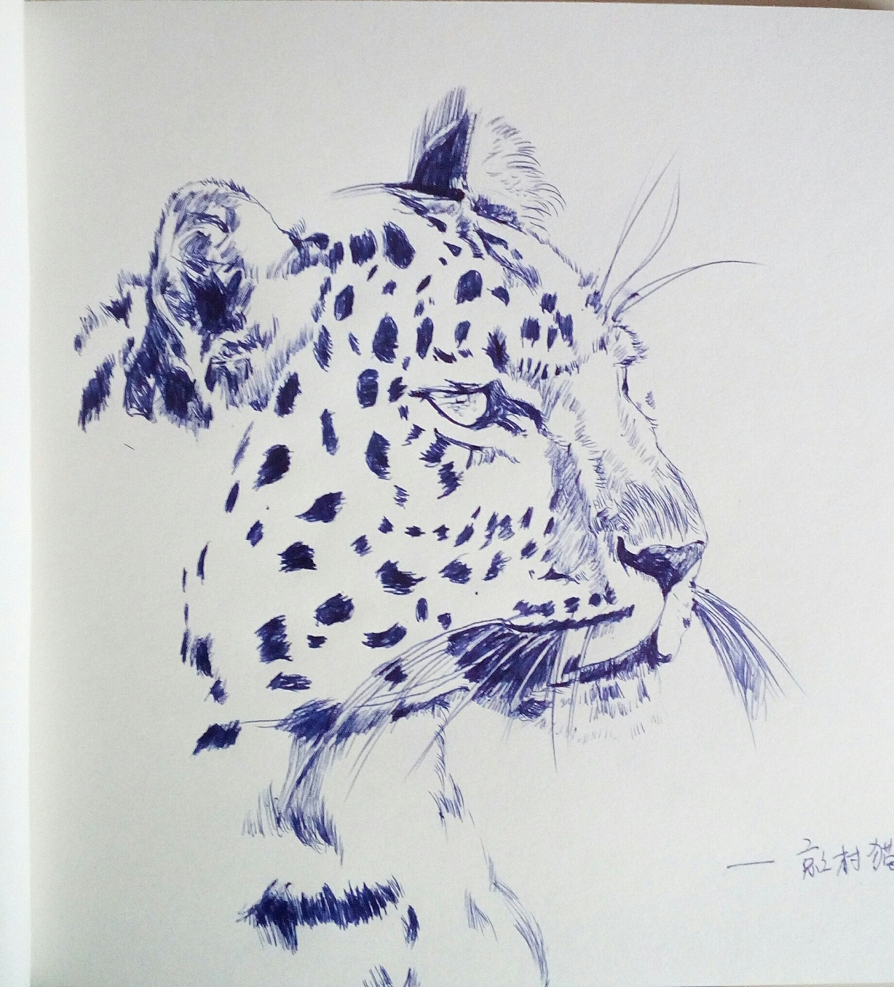 一次绘画的练习《豹子》