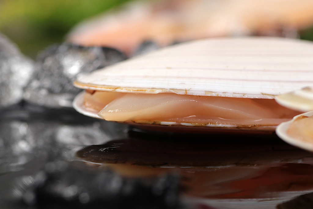 刀贝丨海鲜电商客户约拍丨飞鸟电商