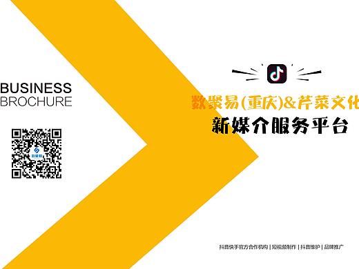 芹菜文化数据易宣传册