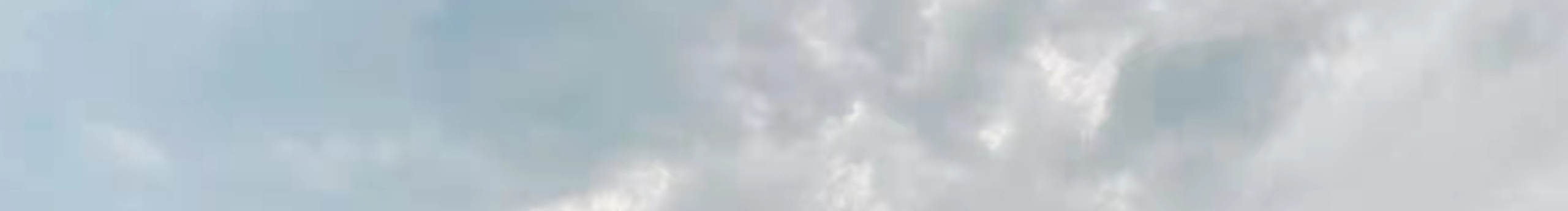 茱莉僷儿的个人主页（封面预览） - 主页封面设置 - 站酷设计师茱莉僷儿原创素材 - 站酷ZCOOL