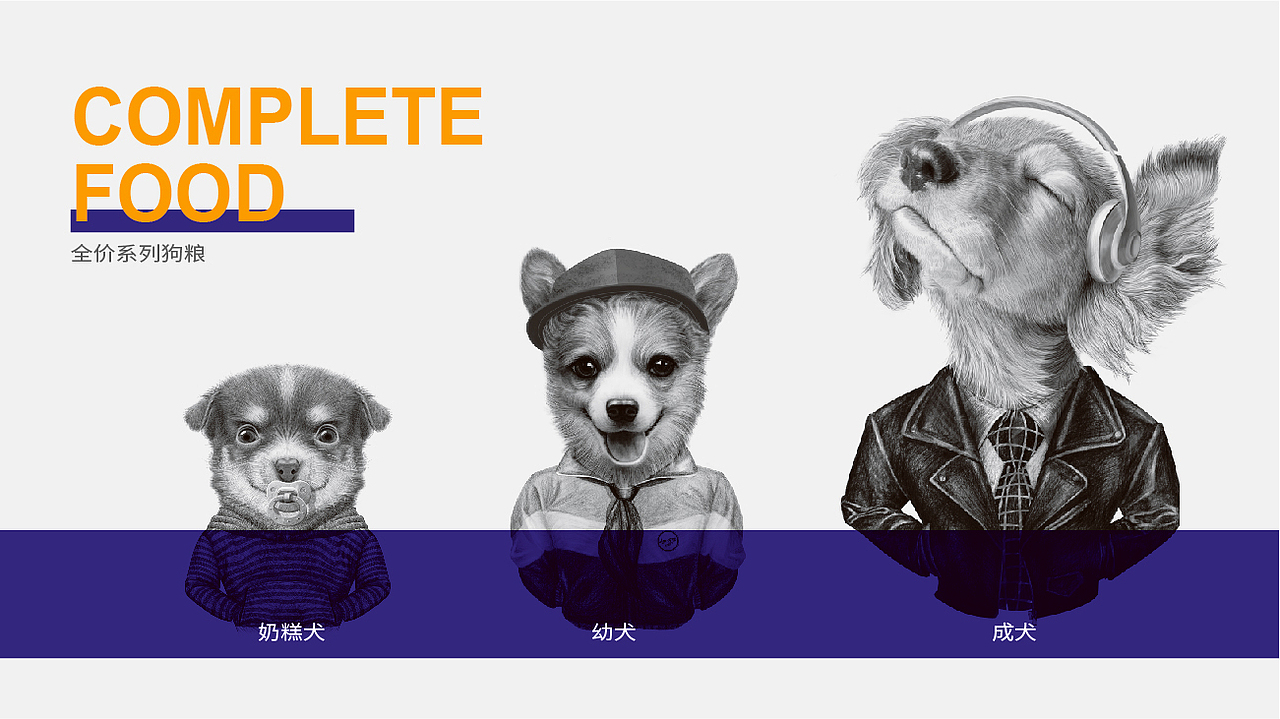 晨狮原创设计丨安贝(安诺品牌)猫粮狗粮系列包装设计