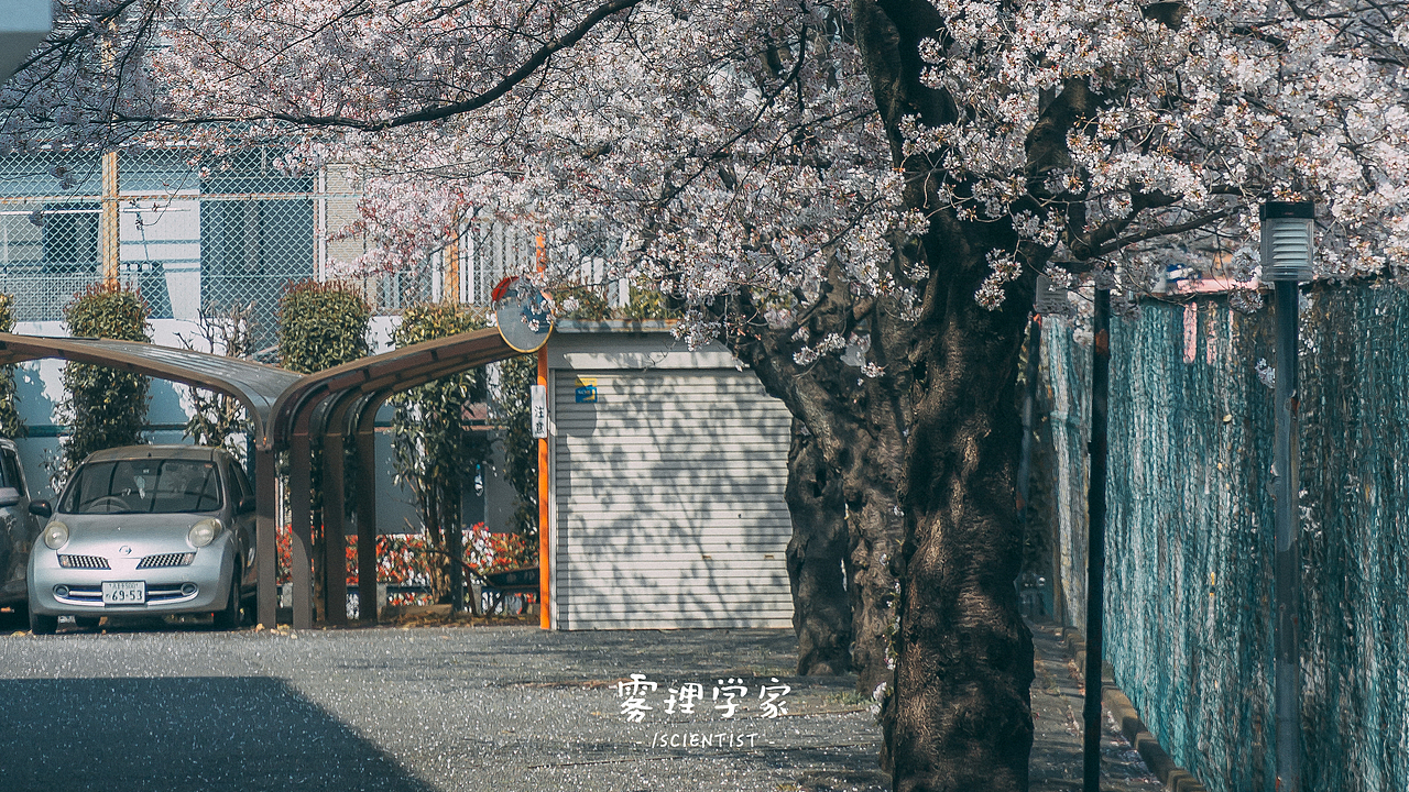 涉谷八公 | Photo | 雾里学家scientis | 3