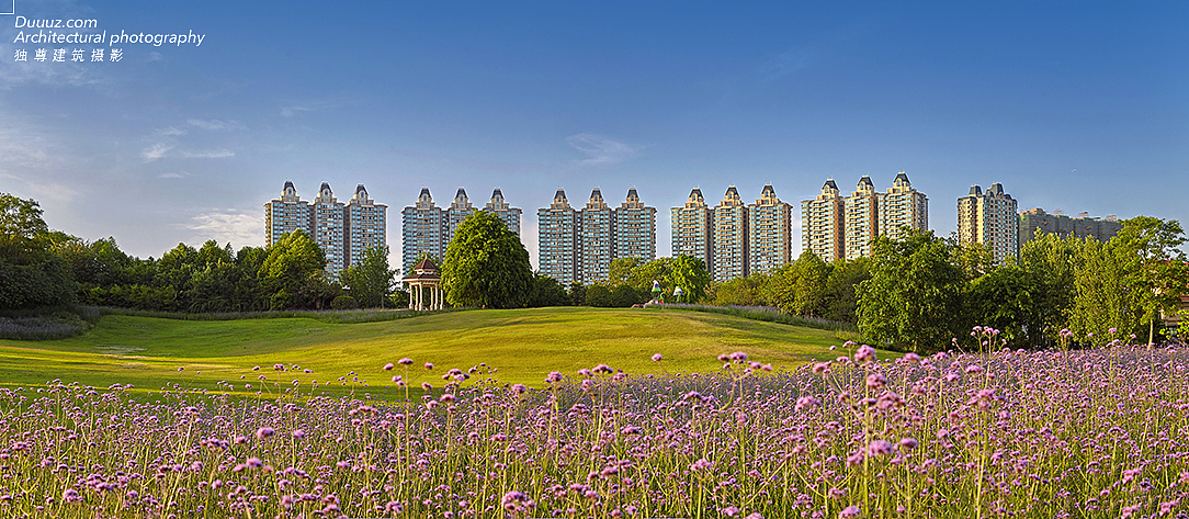 独尊建筑摄影:成都恒大金碧天下