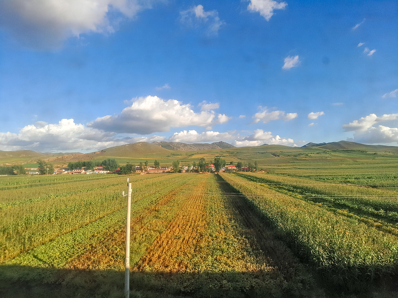 出差途中,火车上拍摄草原风光