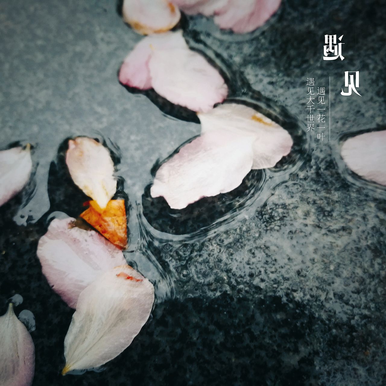 生活（图ZMTU5ODc4MDMy） - 人文/纪实摄影 - 站酷设计师搂着猫睡觉的鱼原创素材 - 站酷ZCOOL