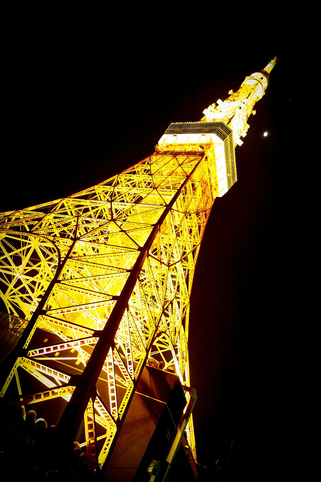 一生总要感受一次樱花时节的霓虹