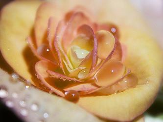 MIMI音乐APP（个人主页-ZMjY0OTg3MzY=） - APP界面 - 站酷设计师L栗栗子原创素材 - 站酷ZCOOL