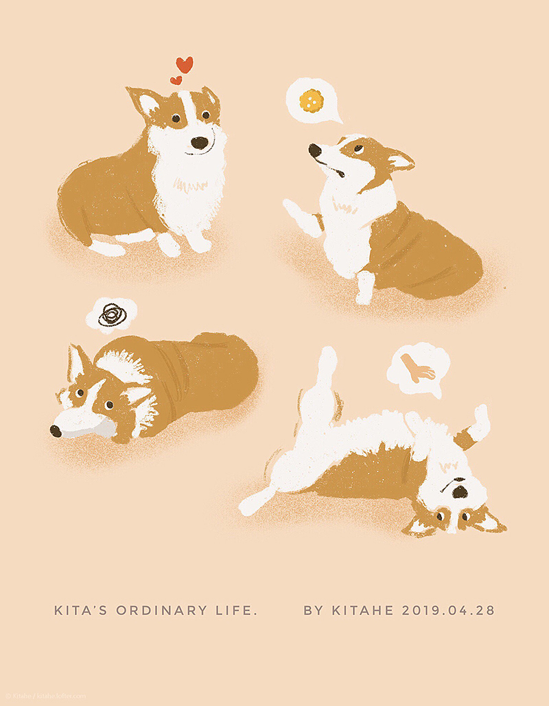 和柯基JJ的日常（图ZMjM0MTk2NzE2） - 创作习作 - 站酷设计师Kitahe_zc原创素材 - 站酷ZCOOL