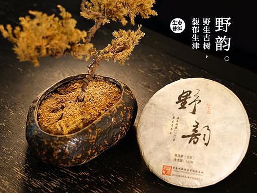 野韵（个人主页-ZMjgwMTY3MzI=） - 其他UI - 站酷设计师小贝1028原创素材 - 站酷ZCOOL