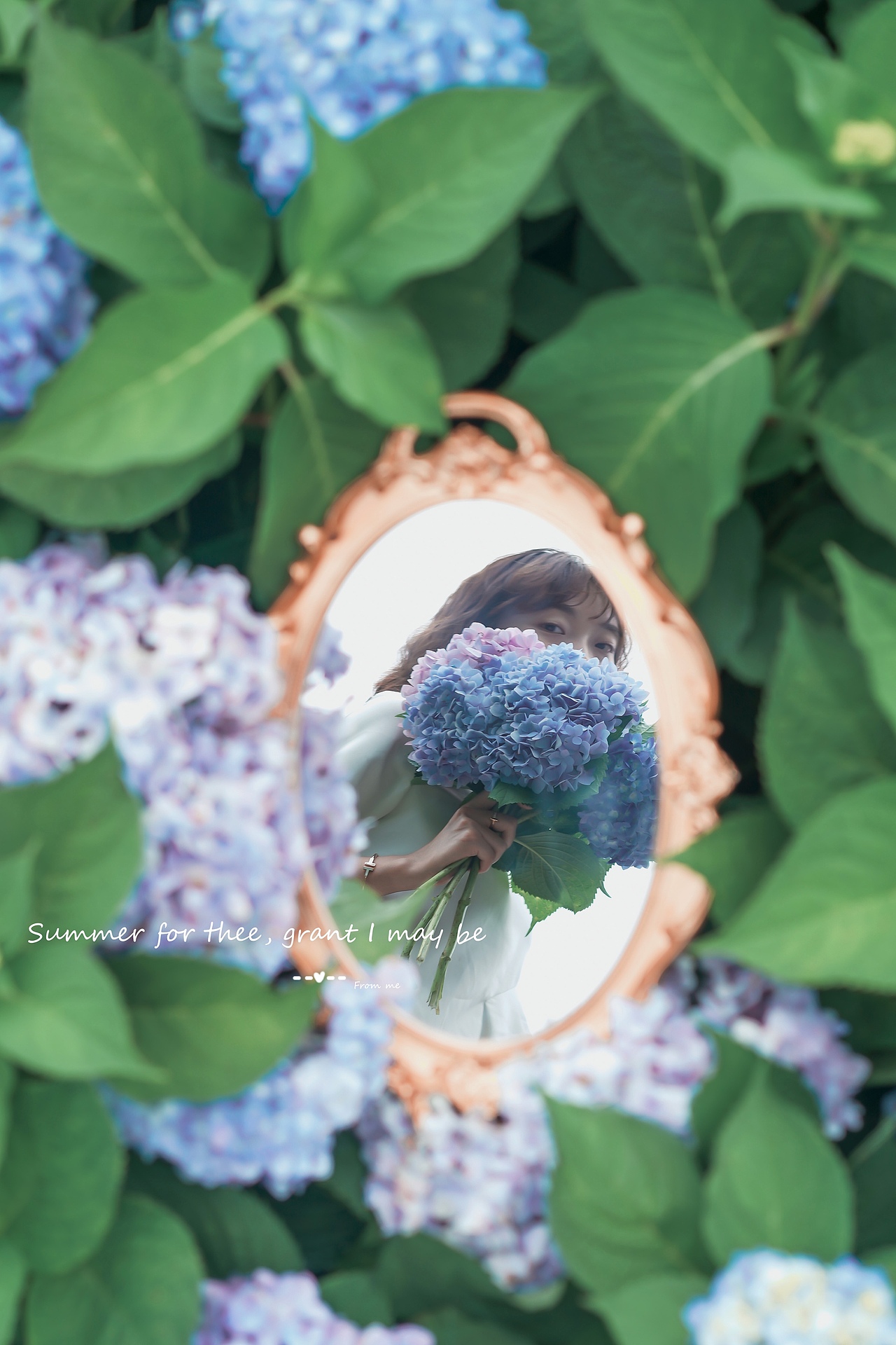 绣球花海/人像静物尽收