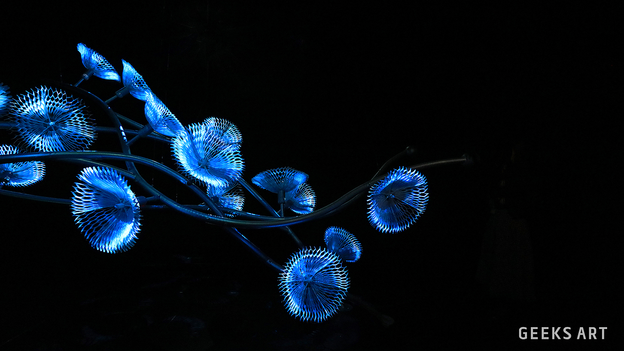 新媒体互动艺术装置：「花影 Flower Shadows」