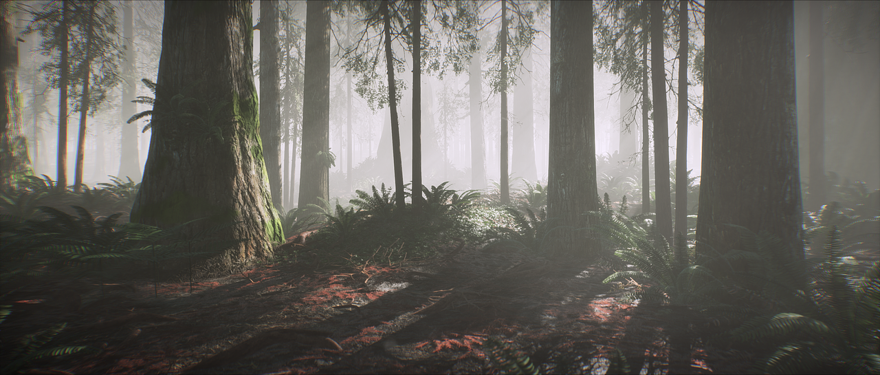 Misty Forest-Animation(图ZMjMwMTIwNDU2) - 动画/影视 - 站酷设计师ZixiIceyy原创素材 - 站酷ZCOOL