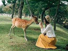 旅游單張廣告設(shè)計(jì)