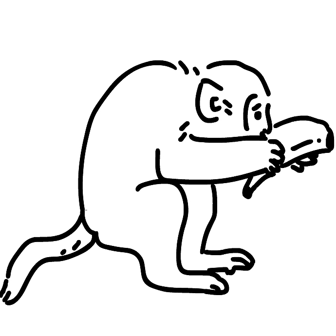 动物治愈行为大赏（图ZMjgzMzcyMjcy） - 创作习作 - 站酷设计师可因什戴思Liu原创素材 - 站酷ZCOOL