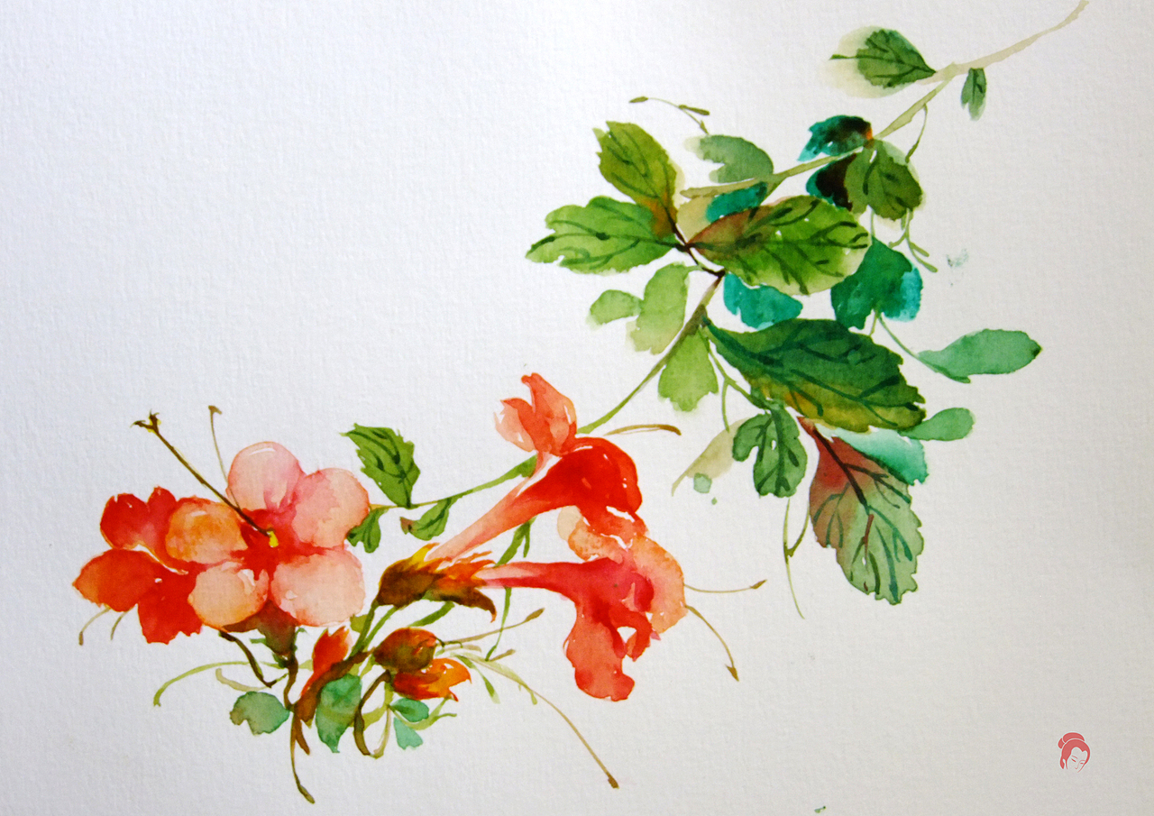 逸水花----(水彩,花鸟,浪漫,小写意,半写实,人物)日常练习