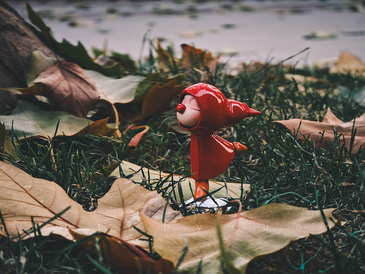 静物｜起风了（图ZMzU2NjMxMzI0） - 其他摄影 - 站酷设计师萨妮灰原创素材 - 站酷ZCOOL