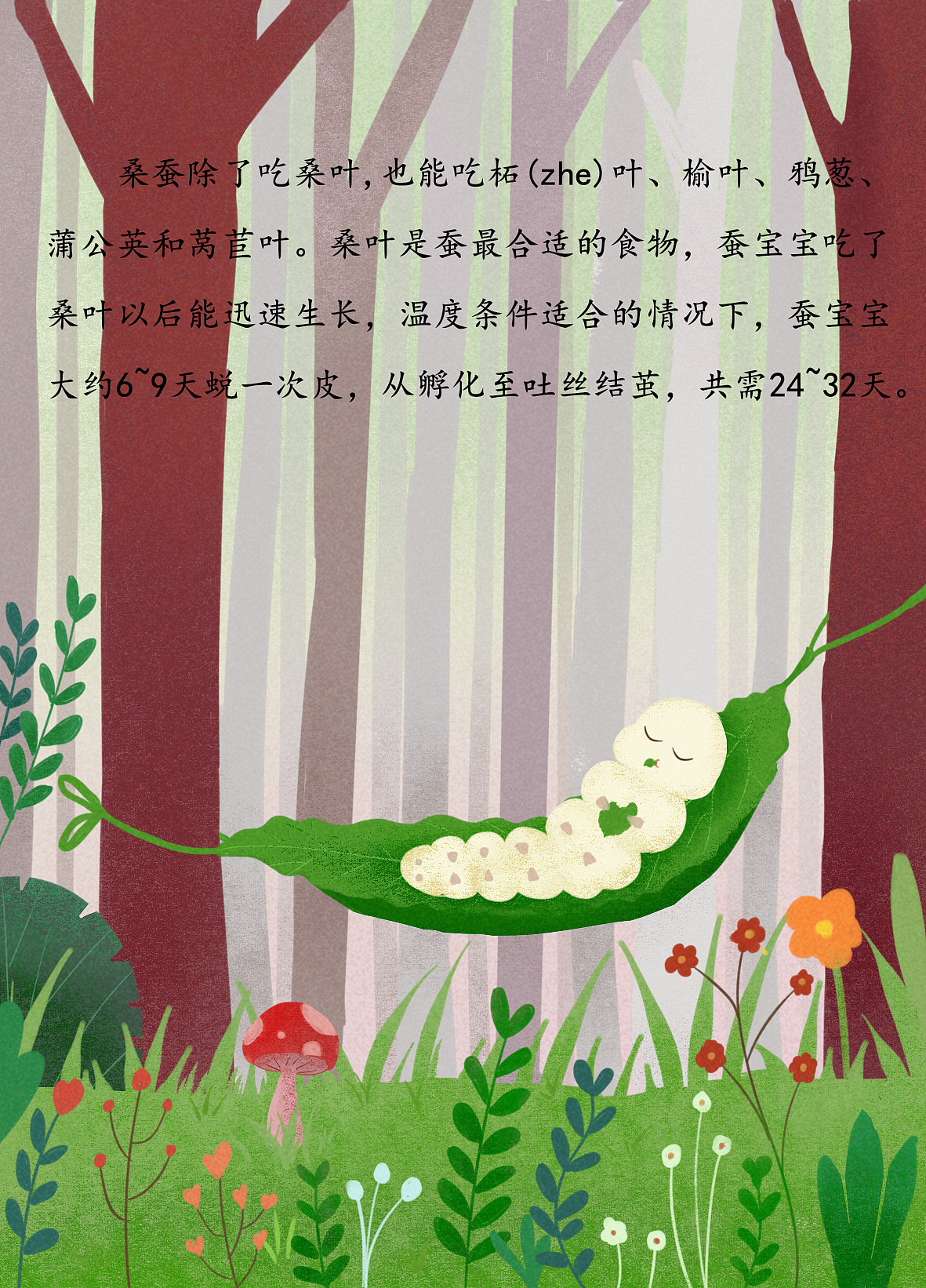 关于蚕宝宝的那些事