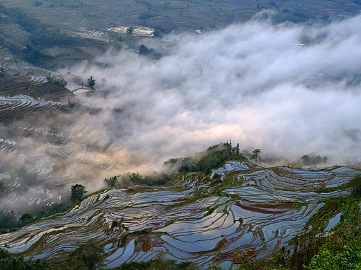 元阳梯田