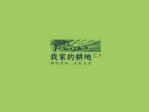我家的耕地