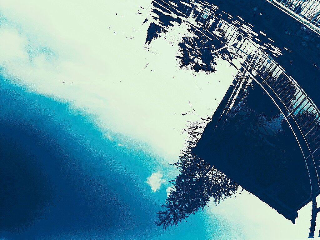 那一年，我的校园，我们的月亮岛