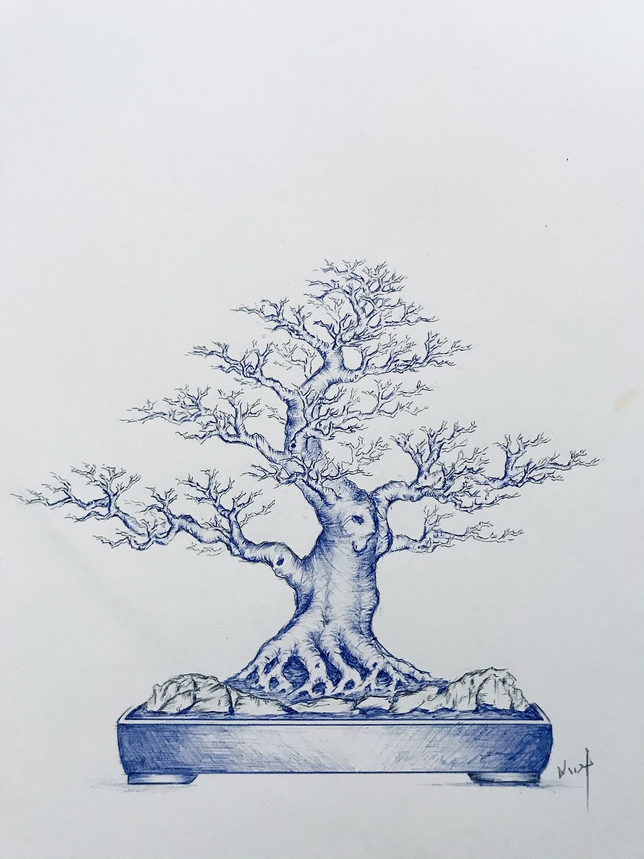 盆景（图ZMjUzMzMyNzU2） - 绘画 - 站酷设计师Z75835907原创素材 - 站酷ZCOOL