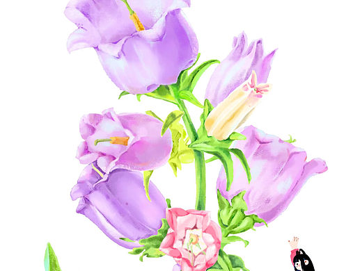 肌理插画