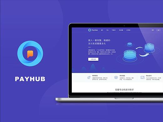 PAYHUB官网设计