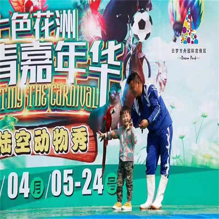 百鸟园观赏孔雀展览出租江苏萌宠羊驼活体租赁（图ZMjY0MDEzOTIw） - 其他 - 站酷设计师Z482267807原创素材 - 站酷ZCOOL